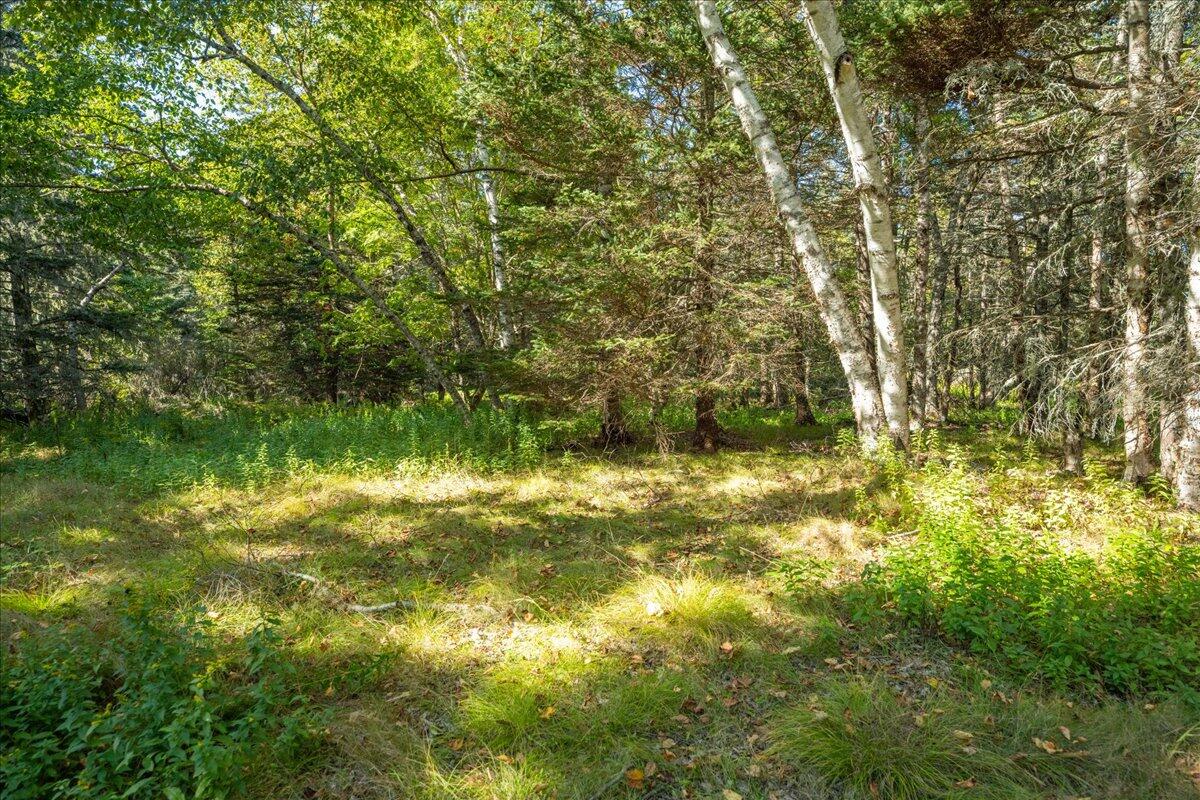 0 Fog Island Isle Au Haut ME 04645