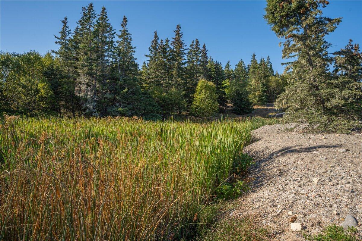 0 Fog Island Isle Au Haut ME 04645