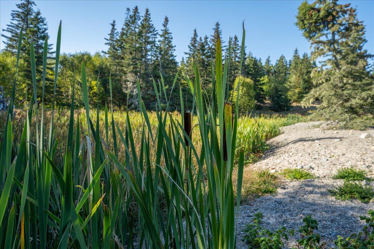 0 Fog Island Isle Au Haut ME 04645