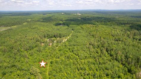 Lot 26-37 Otter Trail Greenbush ME 04418