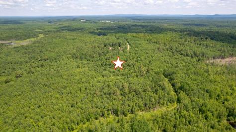 Lot 26-37 Otter Trail Greenbush ME 04418