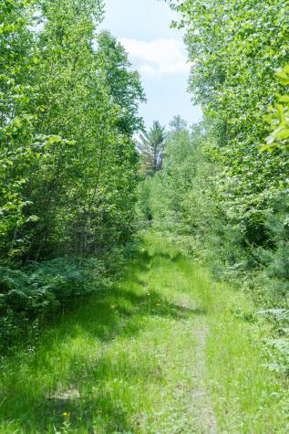 Lot 26-37 Otter Trail Greenbush ME 04418