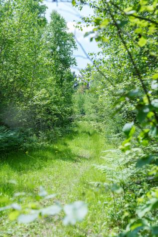 Lot 26-37 Otter Trail Greenbush ME 04418