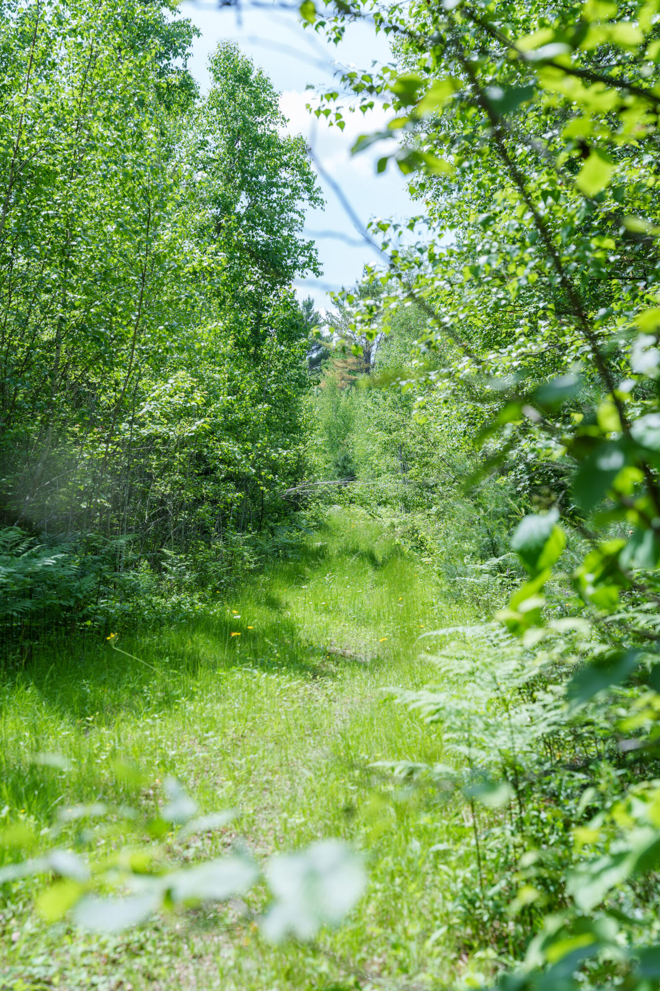 Lot 26-37 Otter Trail Greenbush ME 04418