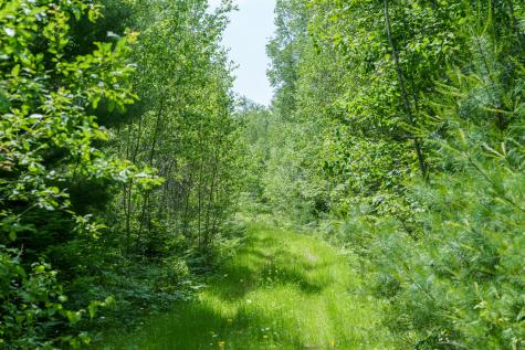 Lot 26-37 Otter Trail Greenbush ME 04418