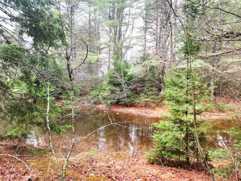217 Frost Mill Road Mariaville ME 04605