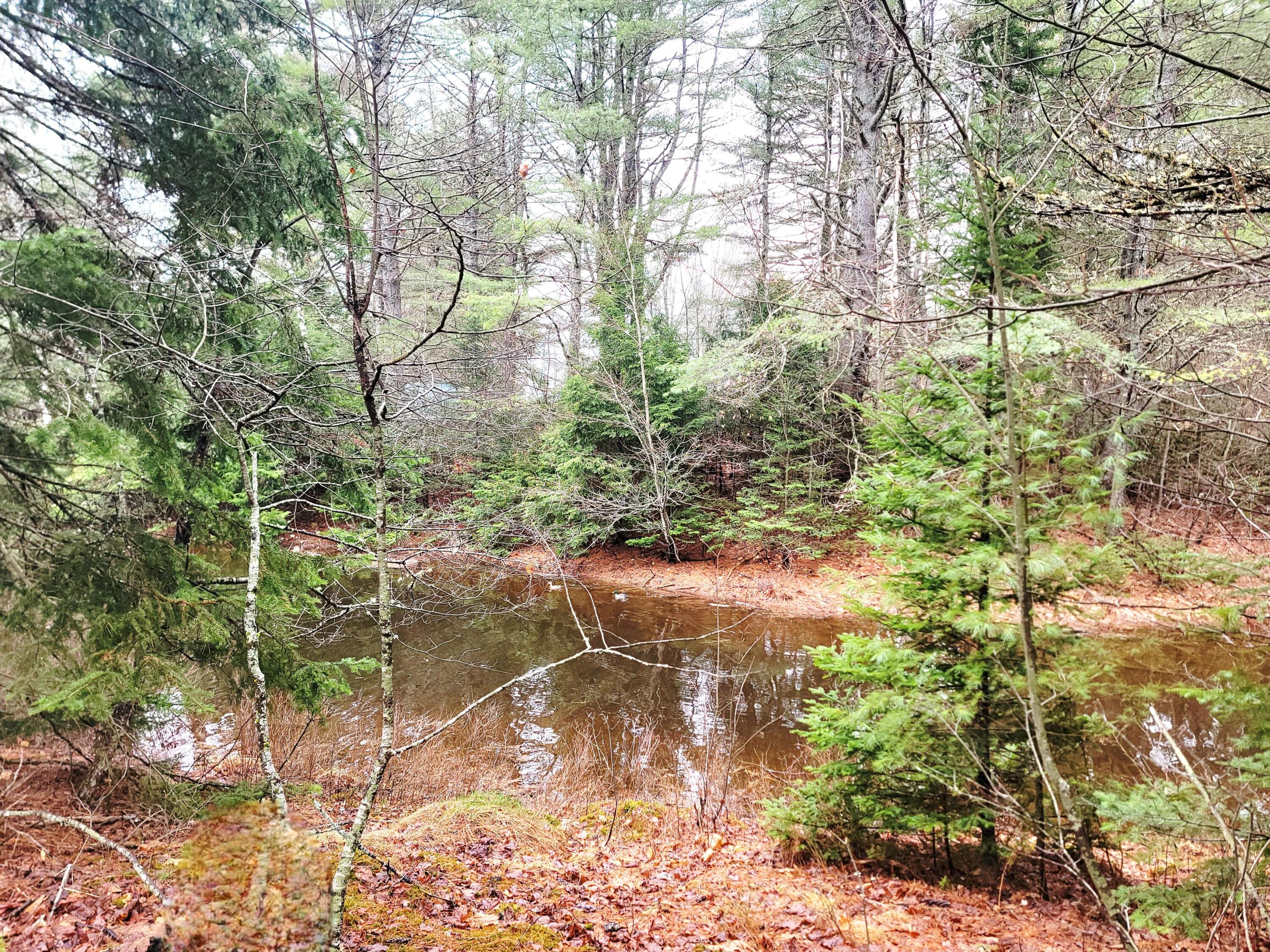 217 Frost Mill Road Mariaville ME 04605