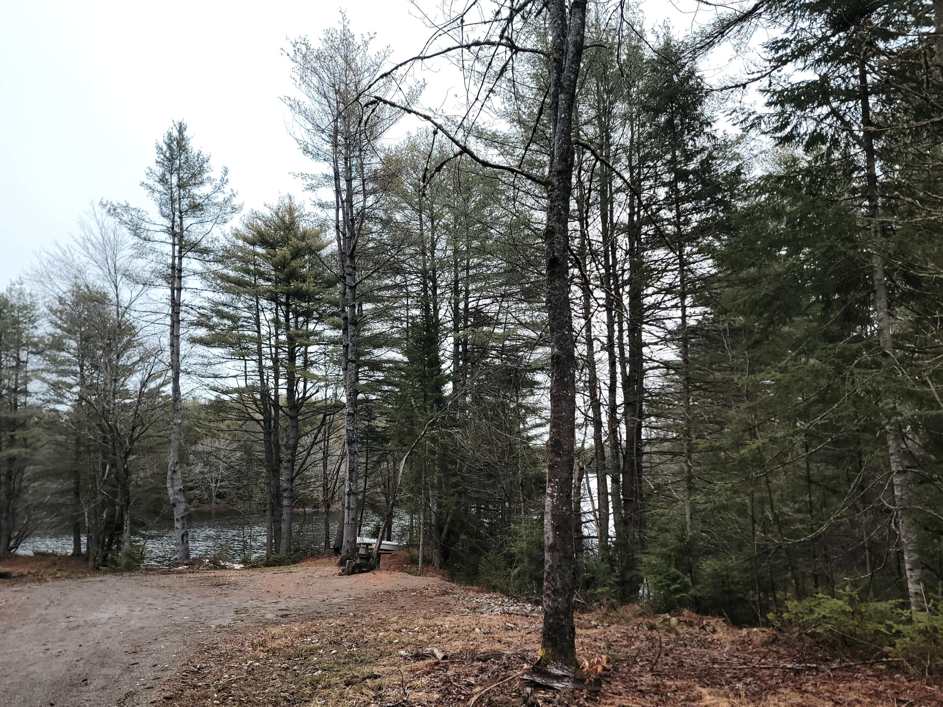 217 Frost Mill Road Mariaville ME 04605
