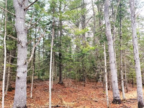 217 Frost Mill Road Mariaville ME 04605