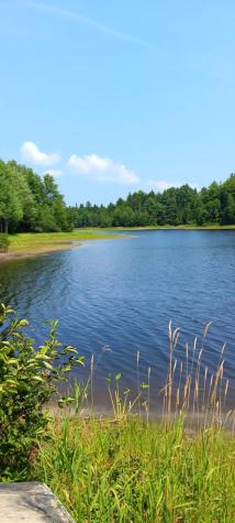 217 Frost Mill Road Mariaville ME 04605