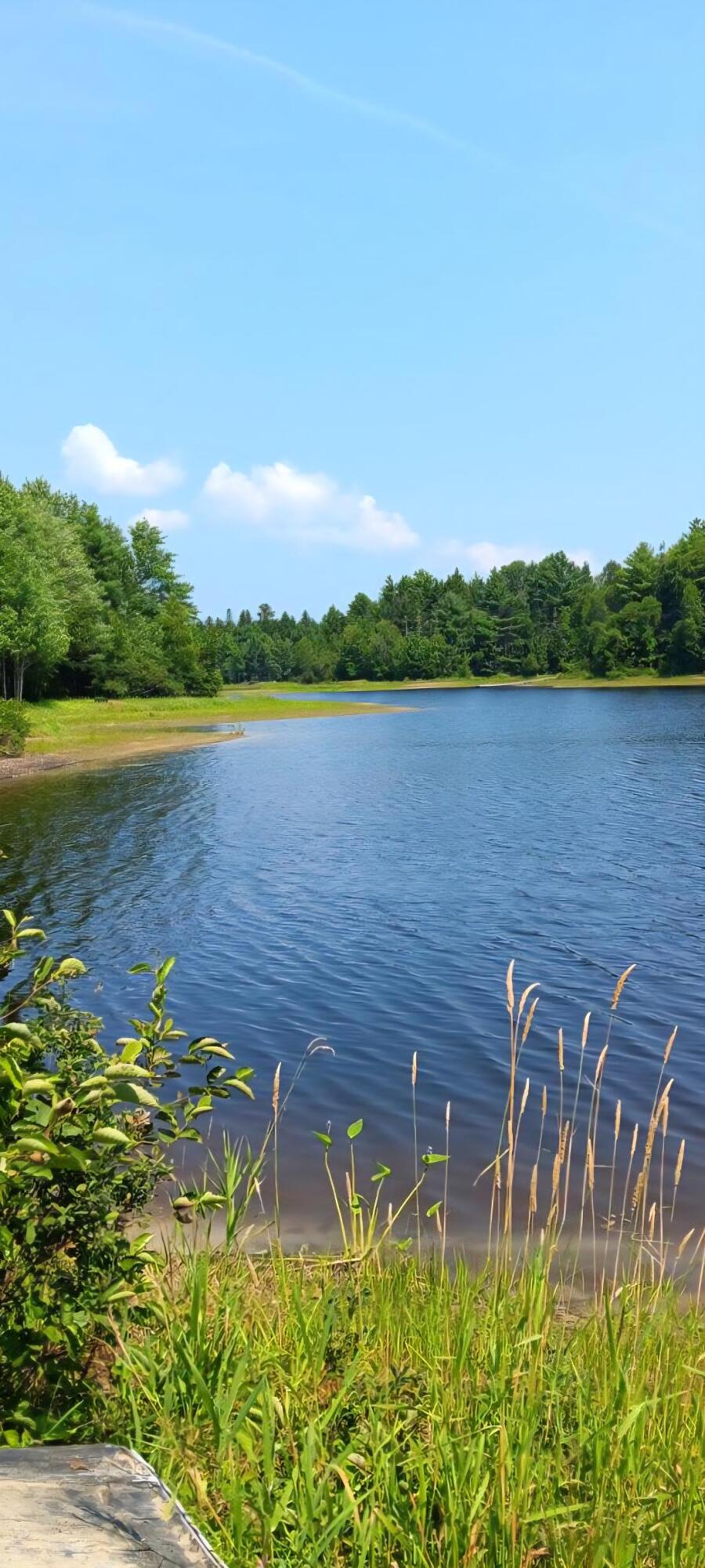 217 Frost Mill Road Mariaville ME 04605