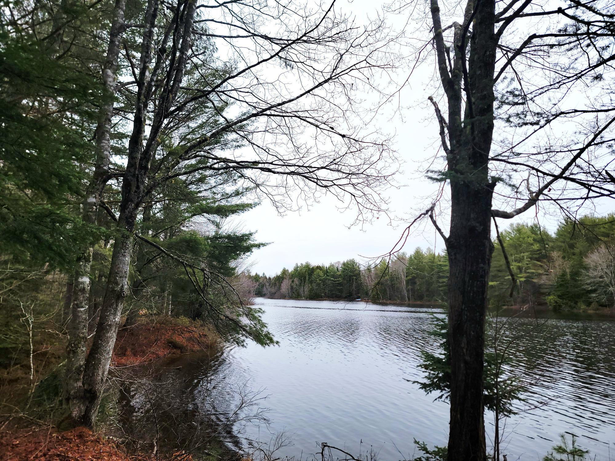 217 Frost Mill Road Mariaville ME 04605