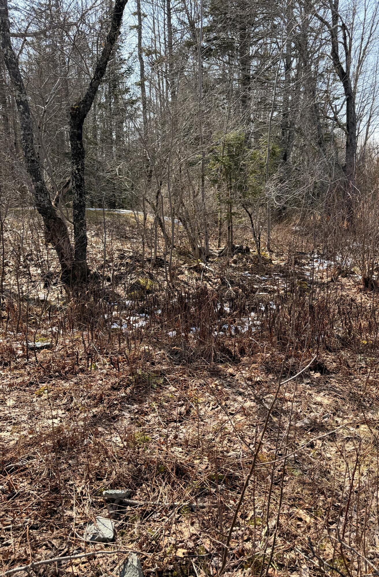 Lot 9-1 Christian Ridge Road Ellsworth ME 04605