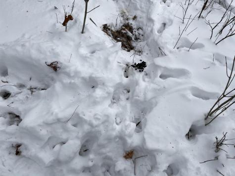 Lot# Trafton Road Harmony ME 04942