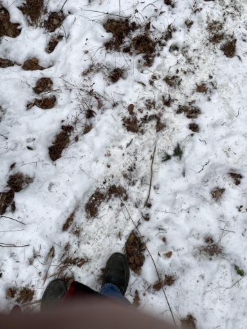 Lot# Trafton Road Harmony ME 04942