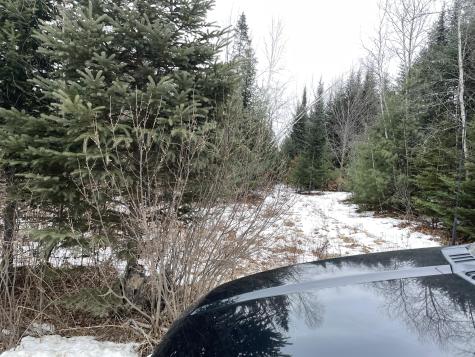 Lot# Trafton Road Harmony ME 04942