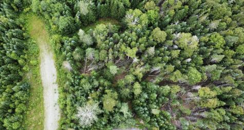 Map 4 Lot 31-26 Palmer Way Dallas Plt ME 04970