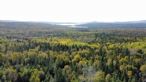 Map 4 Lot 31-26 Palmer Way Dallas Plt ME 04970