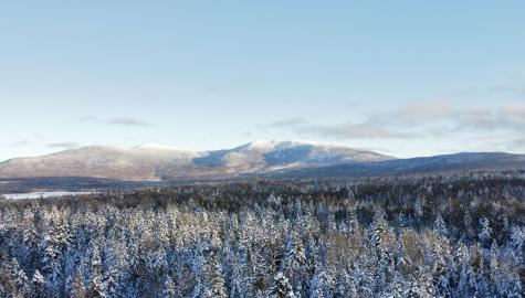 Map 4 Lot 31-26 Palmer Way Dallas Plt ME 04970