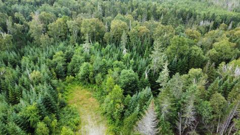 Map 4 Lot 31-26 Palmer Way Dallas Plt ME 04970