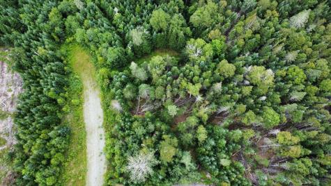 Map 4 Lot 31-26 Palmer Way Dallas Plt ME 04970