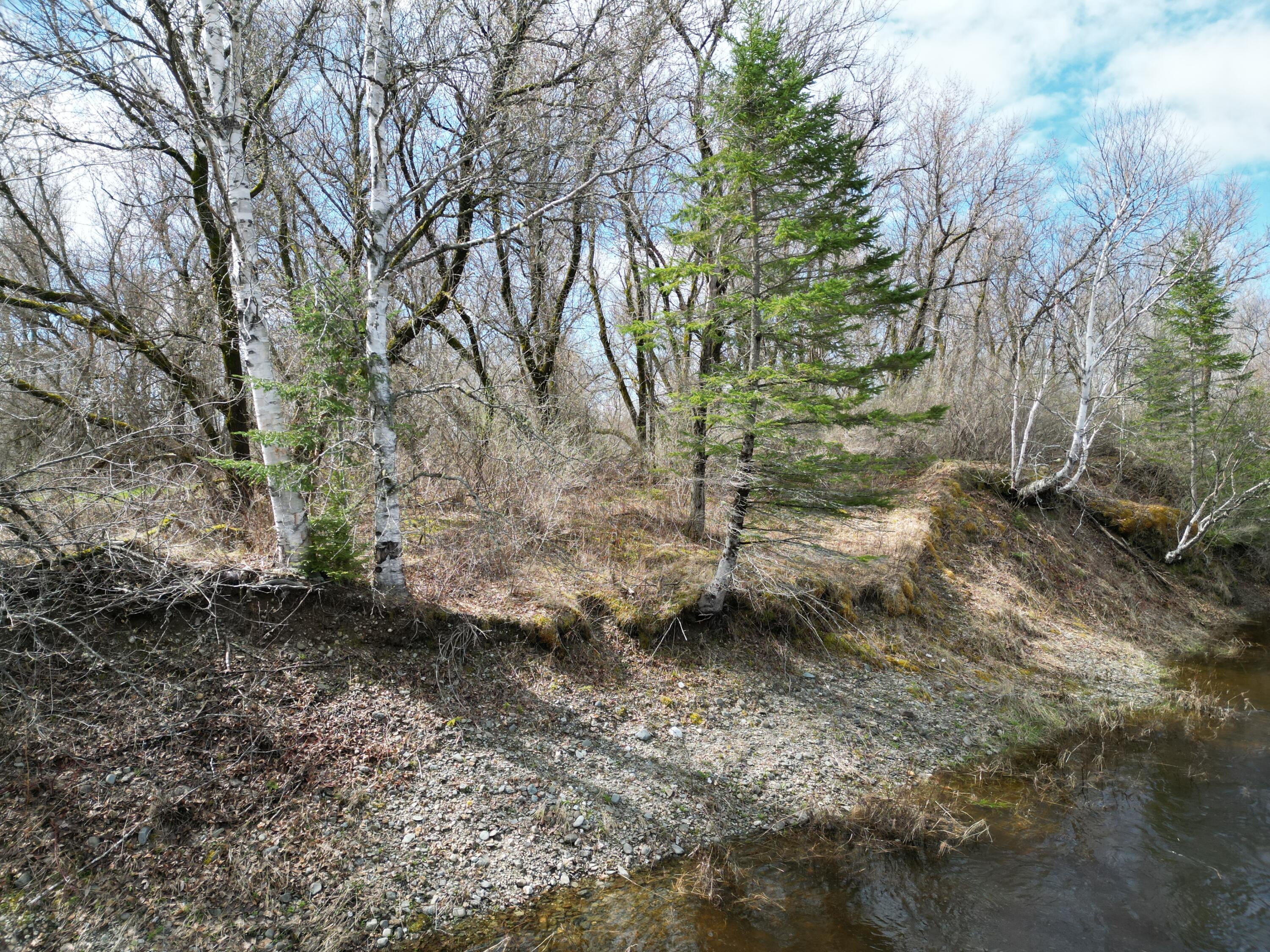Lot 46h Merriman Road Island Falls ME 04747