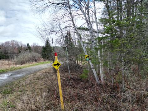 Lot 46h Merriman Road Island Falls ME 04747