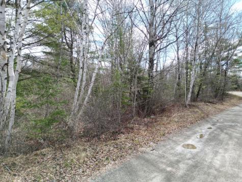 Lot 46h Merriman Road Island Falls ME 04747