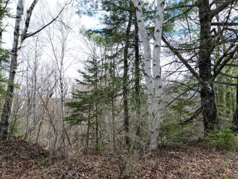 Lot 46h Merriman Road Island Falls ME 04747
