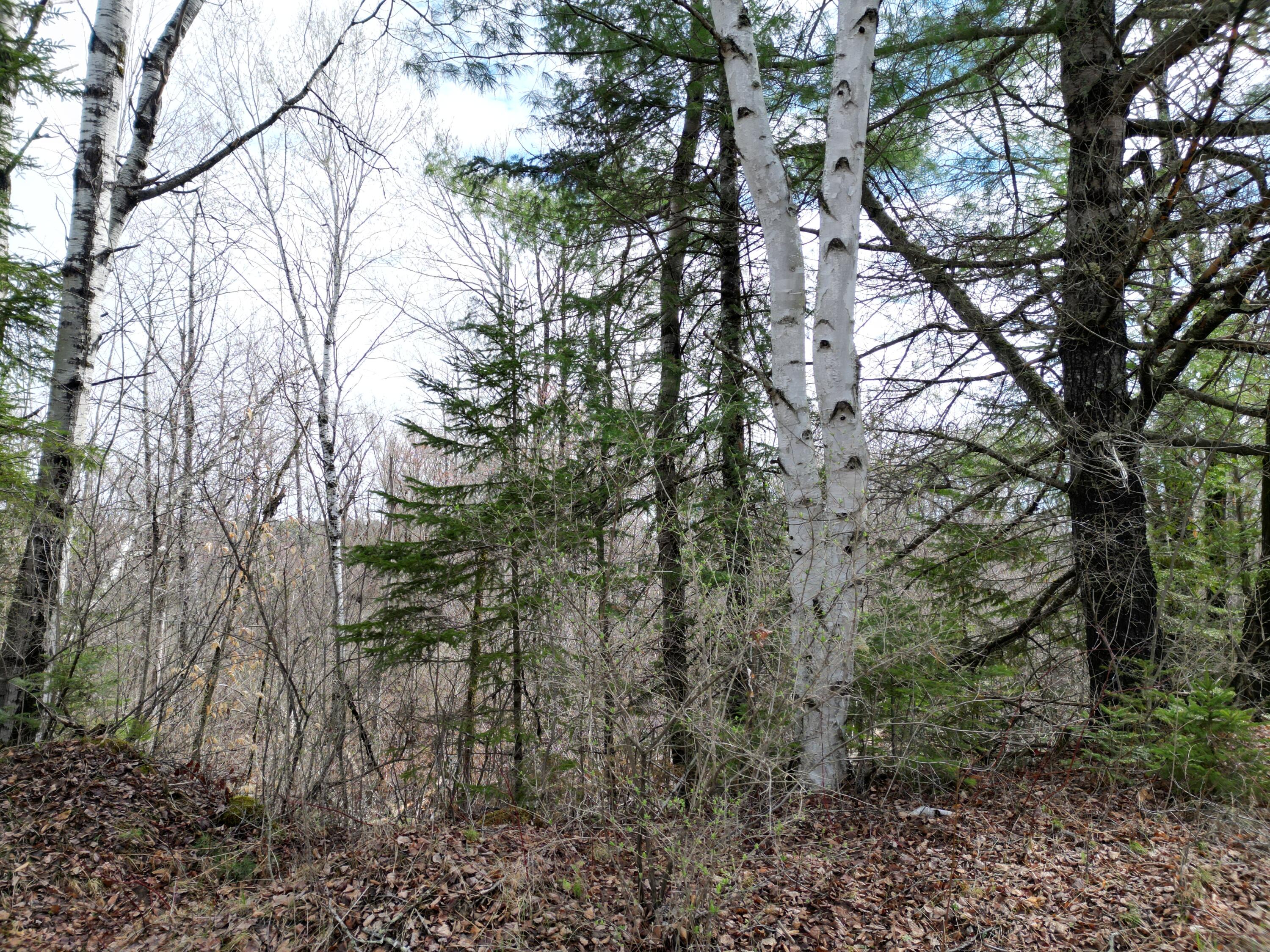 Lot 46h Merriman Road Island Falls ME 04747