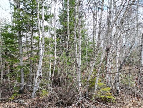 Lot 46h Merriman Road Island Falls ME 04747