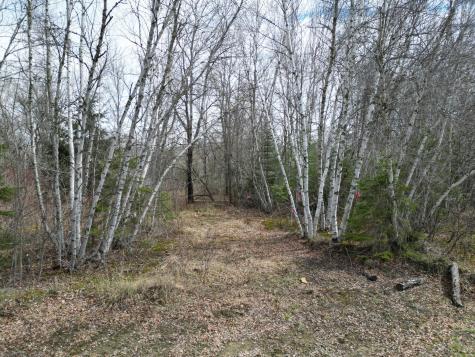 Lot 46h Merriman Road Island Falls ME 04747