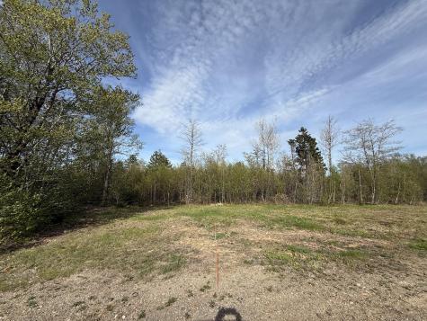 Lot 8 Airline Road Alexander ME 04694