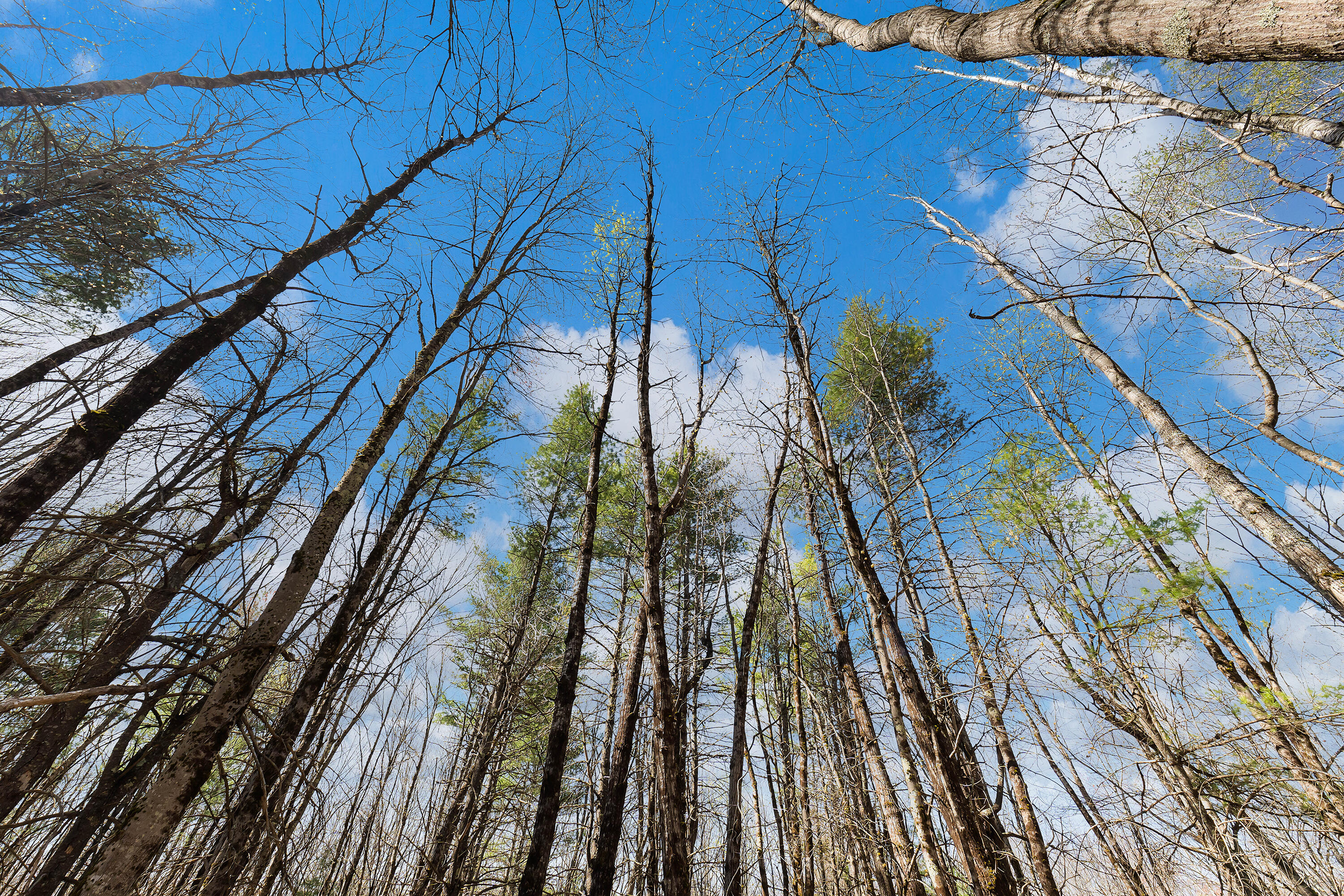 Lot 1 Kennebrook Lane Lyman ME 04002