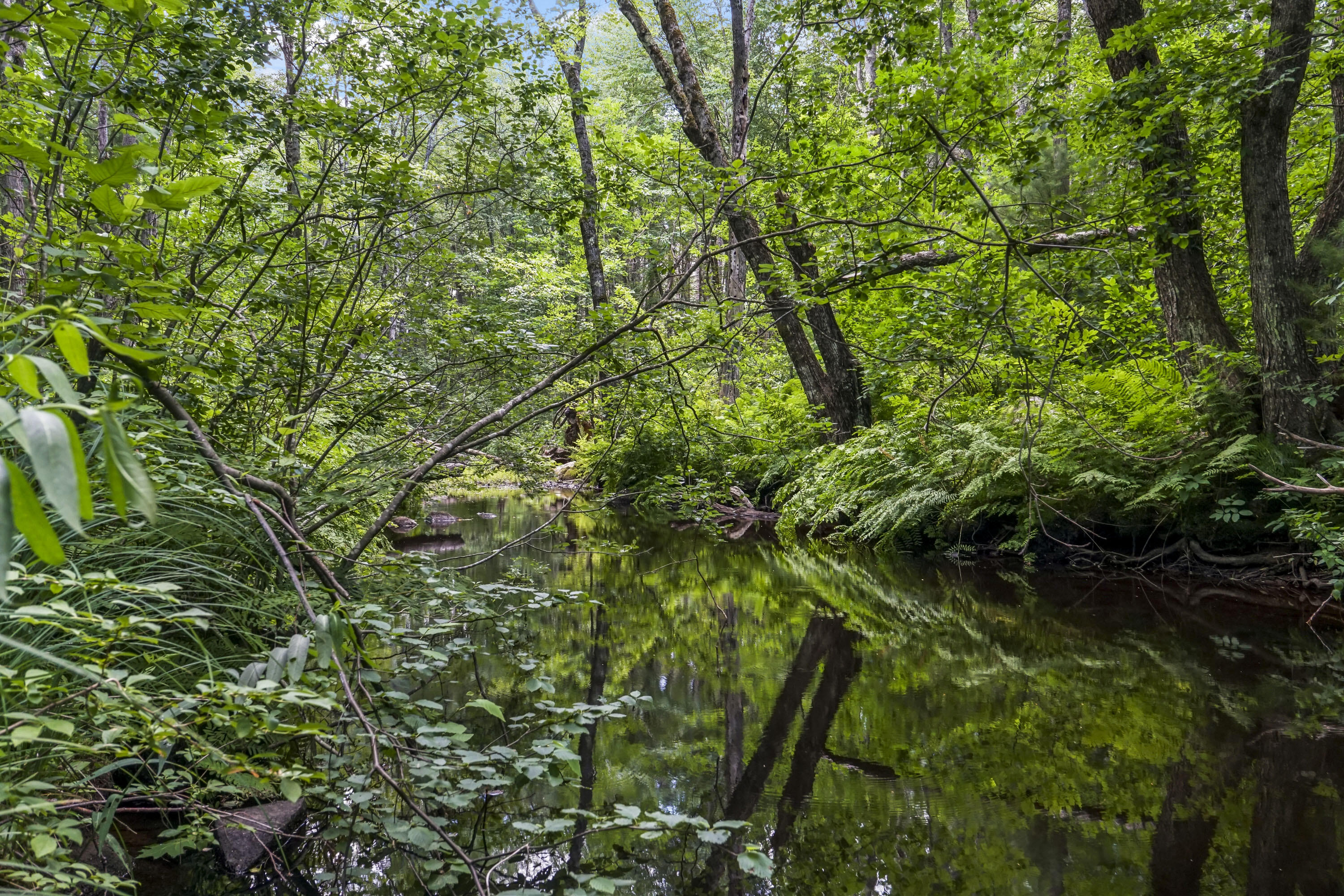 Lot 1 Kennebrook Lane Lyman ME 04002