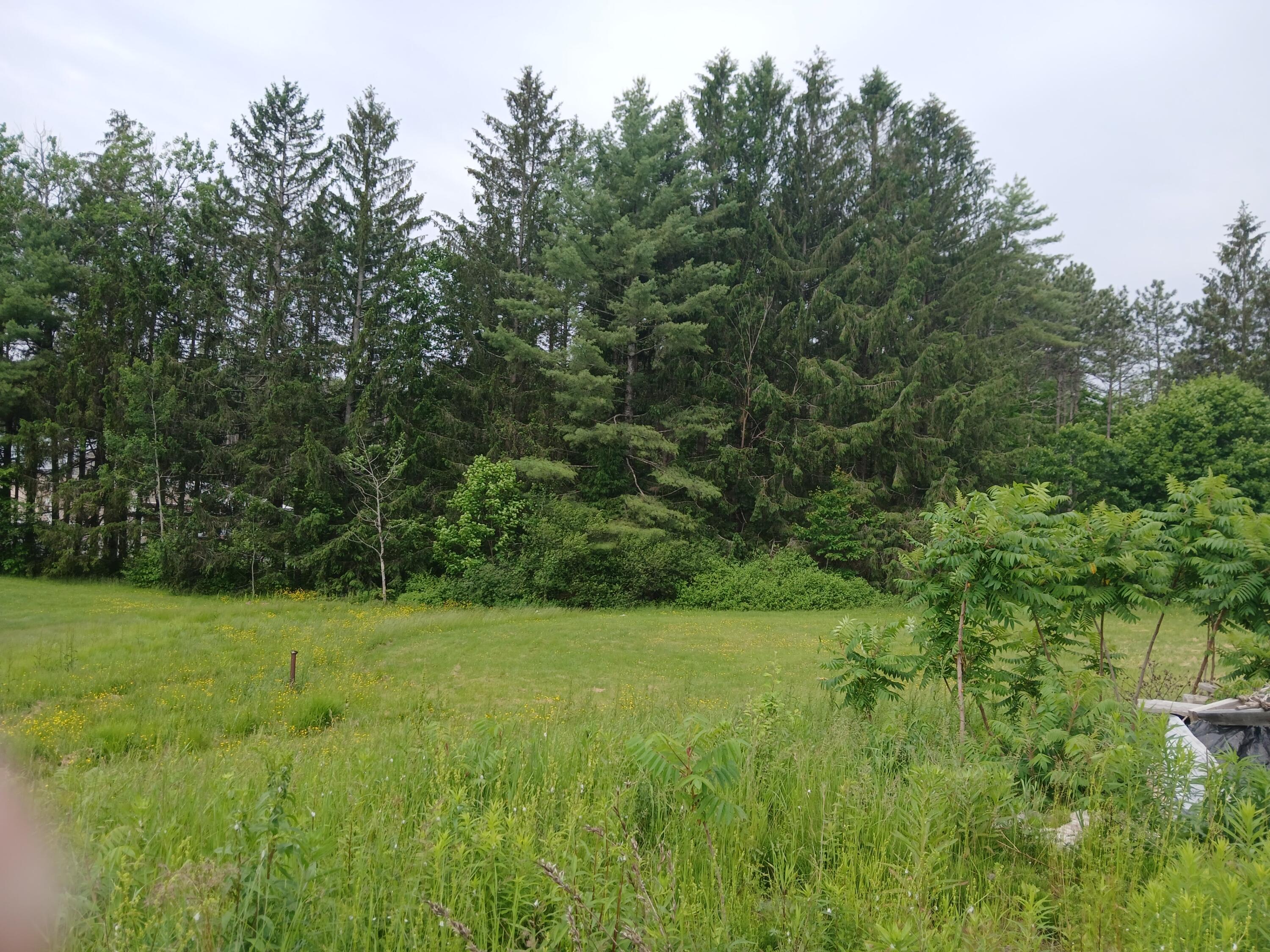 209 Mosher Road Gorham ME 04038