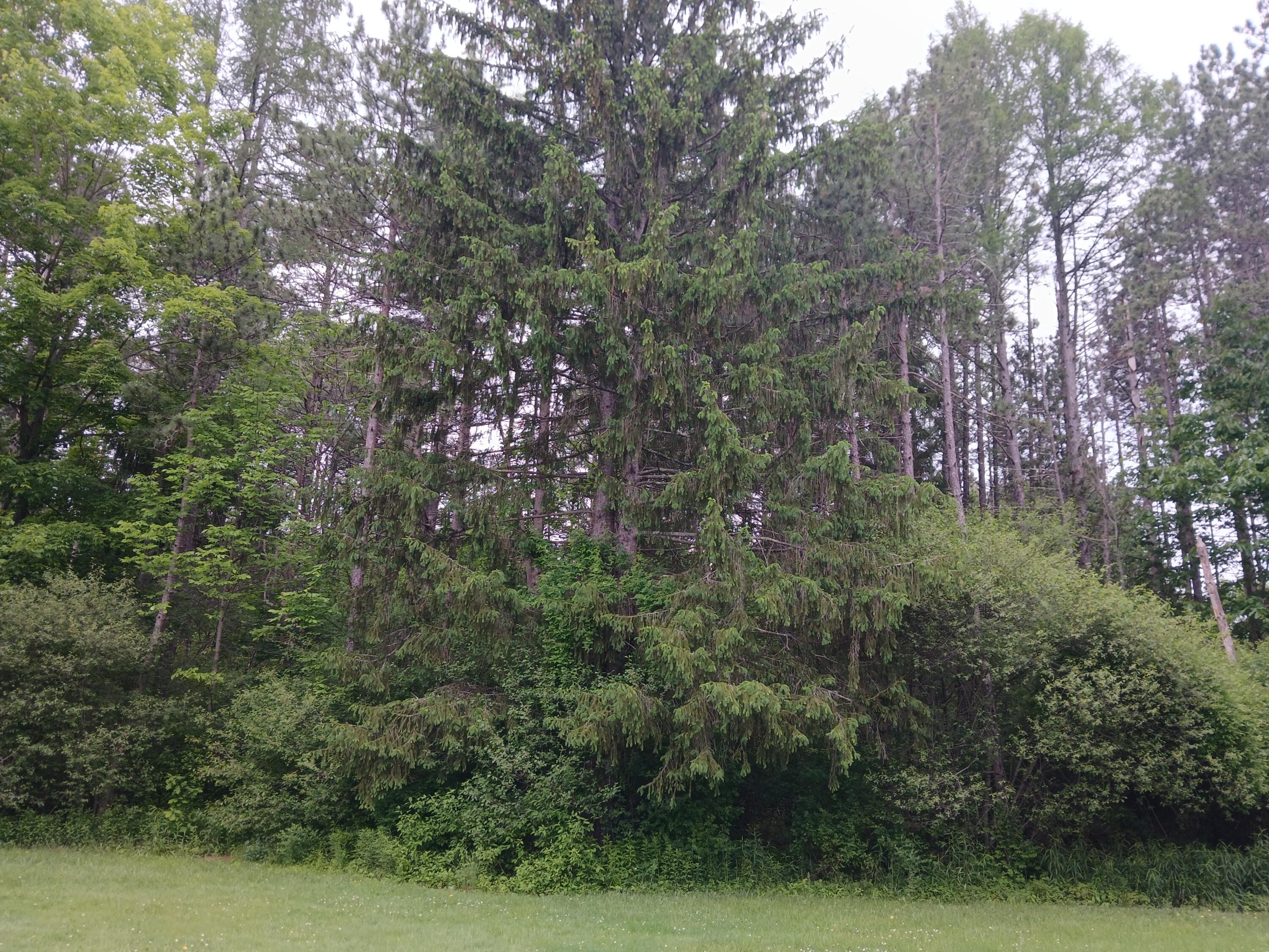 209 Mosher Road Gorham ME 04038