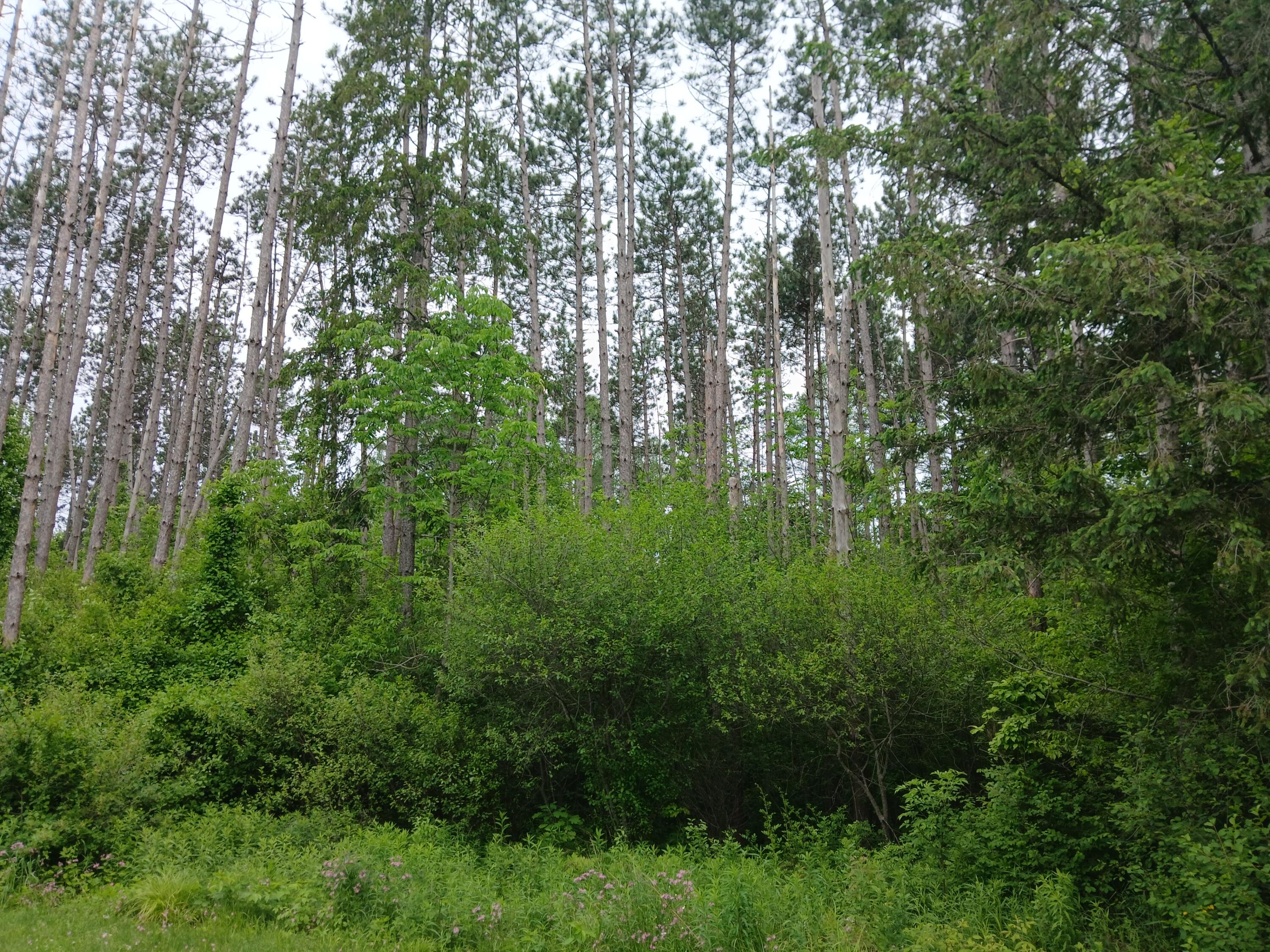 209 Mosher Road Gorham ME 04038