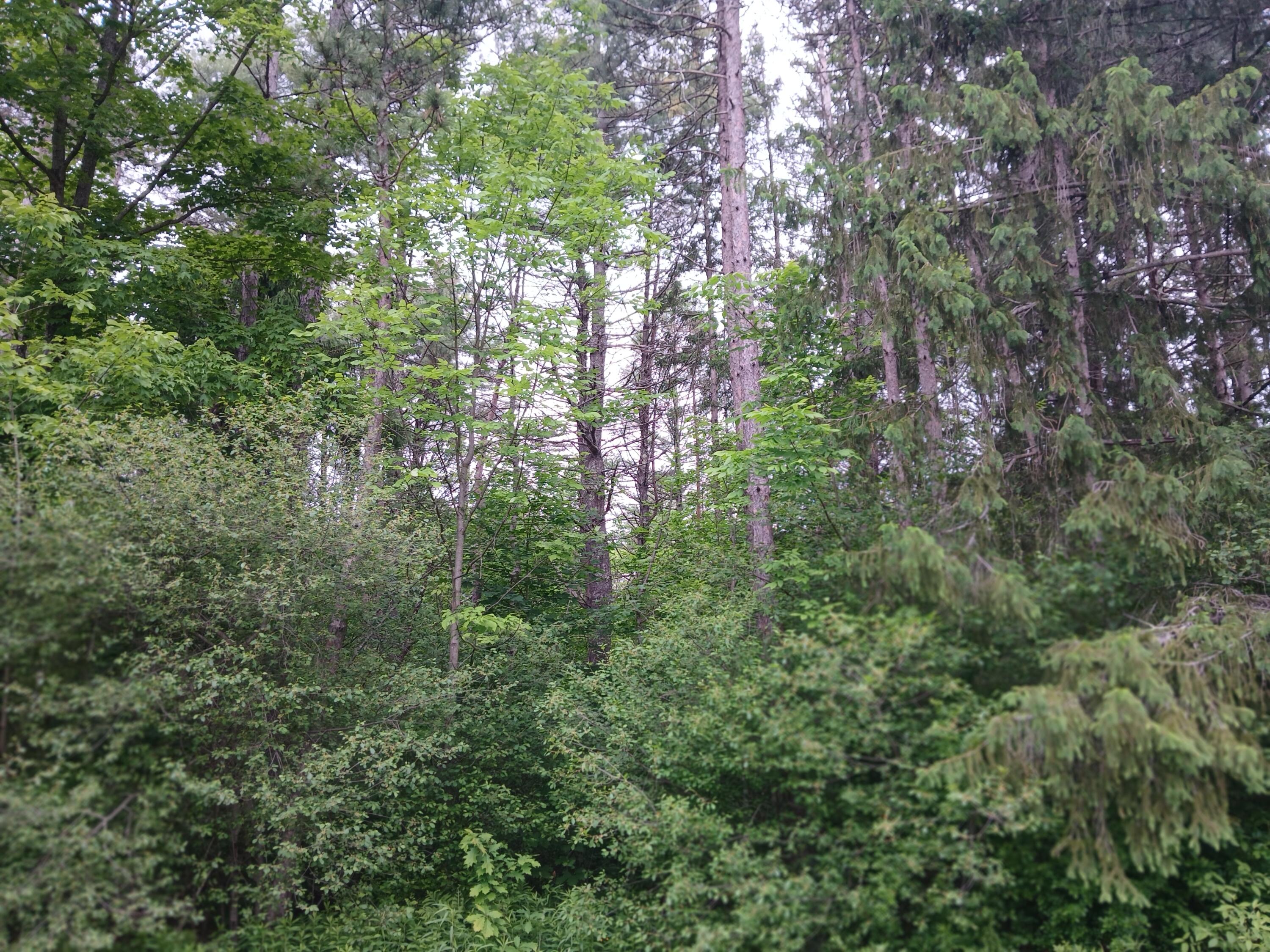 209 Mosher Road Gorham ME 04038