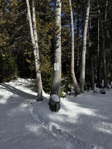 Lot 2 Driftwood Way Mount Desert ME 04660