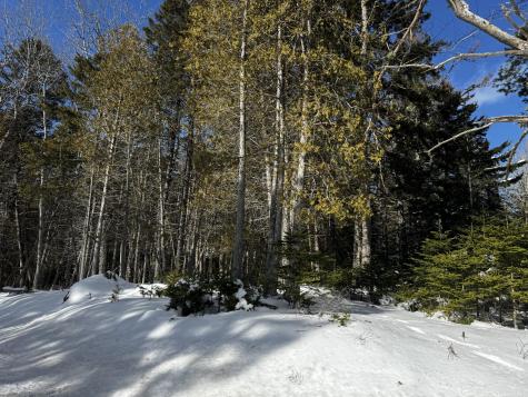 Lot 2 Driftwood Way Mount Desert ME 04660