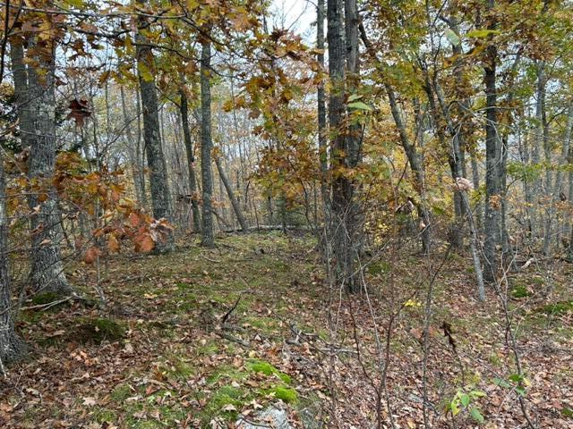 00 Swanville Road Frankfort ME 04438