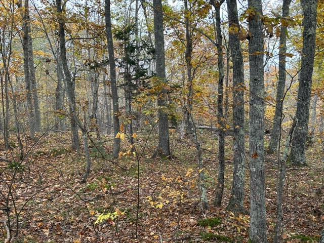 00 Swanville Road Frankfort ME 04438