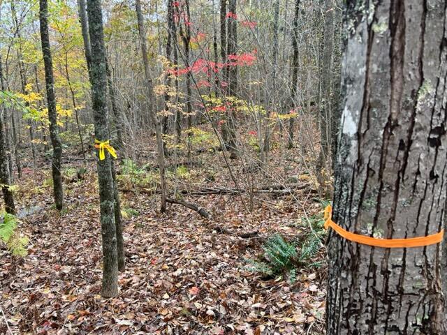 00 Swanville Road Frankfort ME 04438