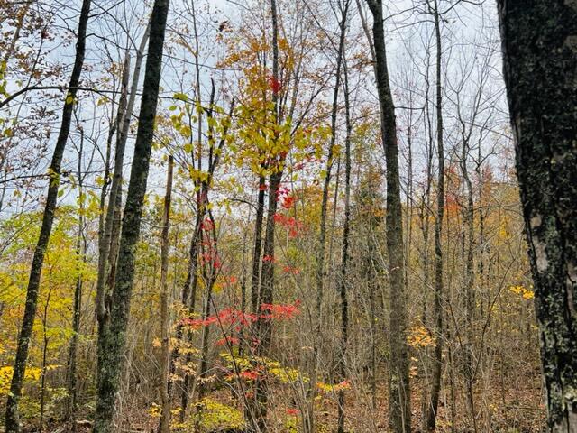 00 Swanville Road Frankfort ME 04438