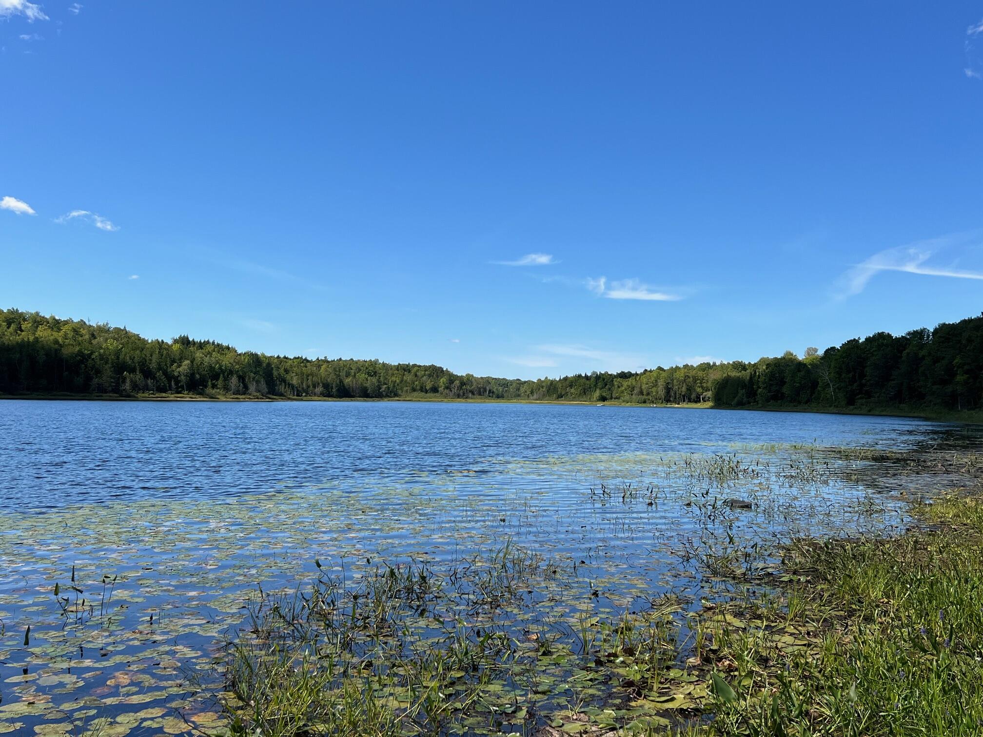 Map 1 Lot 16 Dexter Road Garland ME 04939
