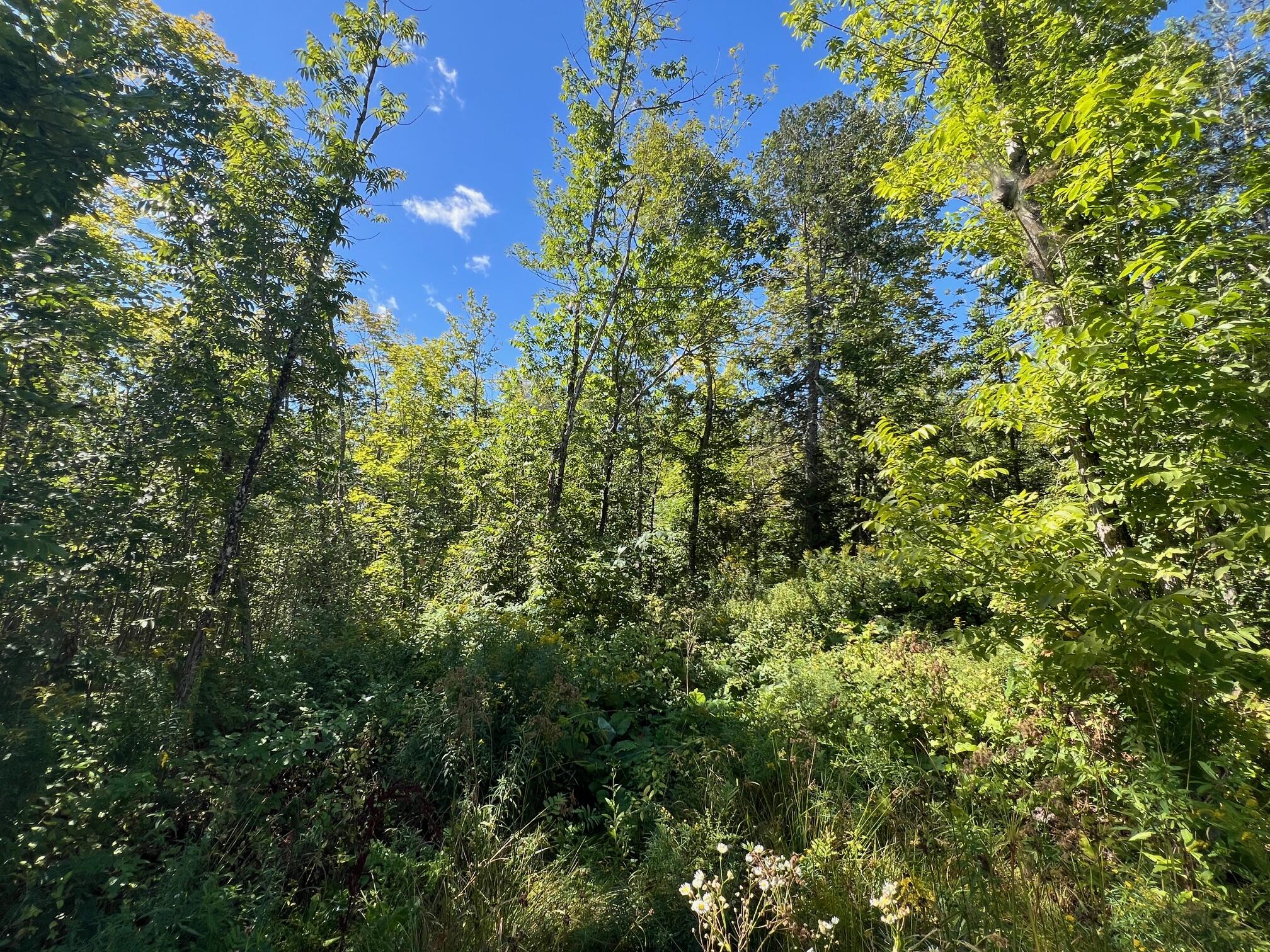 Map 1 Lot 16 Dexter Road Garland ME 04939