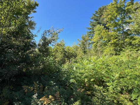 Map 1 Lot 16 Dexter Road Garland ME 04939