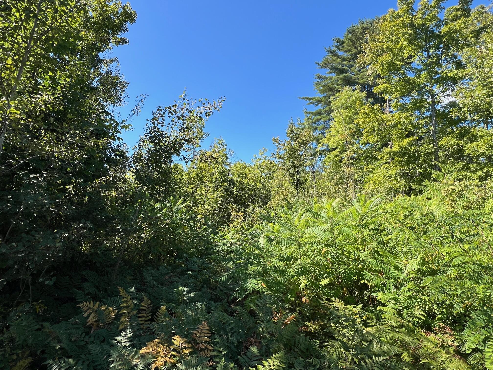Map 1 Lot 16 Dexter Road Garland ME 04939