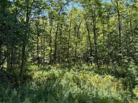 Map 1 Lot 16 Dexter Road Garland ME 04939